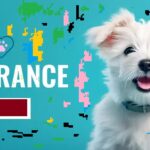 The Ultimate Guide to Pet Insurance: Protecting Your Furry Friend’s Health and Your Wallet