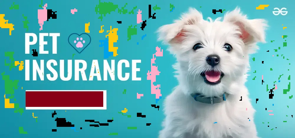 The Ultimate Guide to Pet Insurance: Protecting Your Furry Friend’s Health and Your Wallet