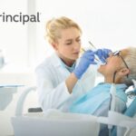 Principal Dental Insurance: A Comprehensive Guide