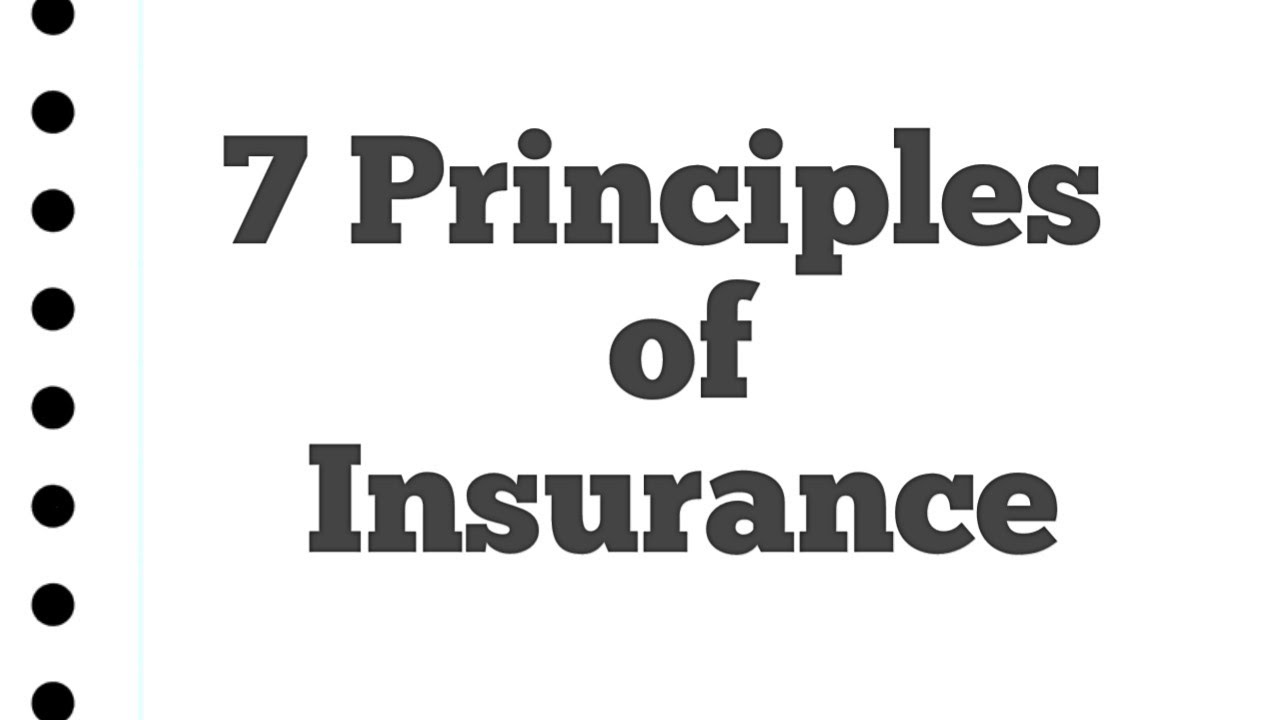 Principles of Insurance: A Comprehensive Guide